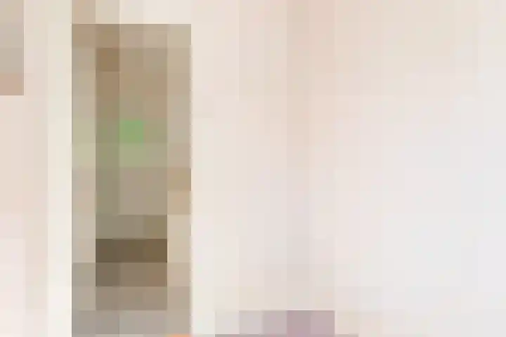 Willem Arntszkade 48 Utrecht thumbnail 27