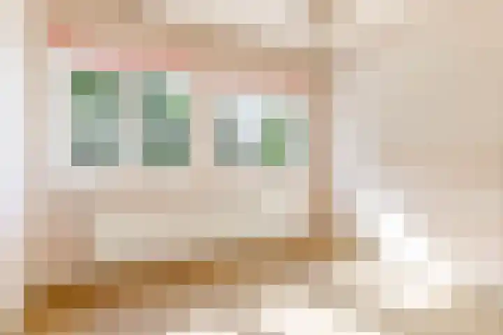 Willem Arntszkade 48 Utrecht thumbnail 29