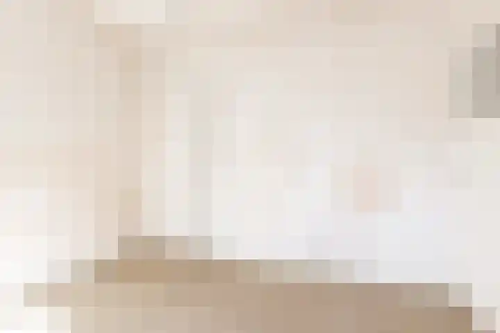 Willem Arntszkade 48 Utrecht thumbnail 30