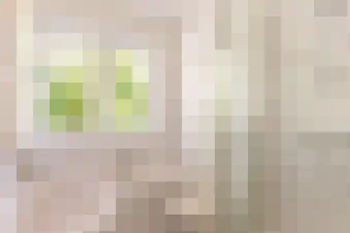 Willem Arntszkade 48 Utrecht thumbnail 32