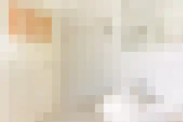 Willem Arntszkade 48 Utrecht thumbnail 33