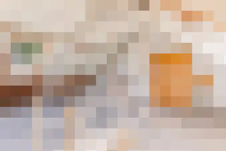 Willem Arntszkade 48 Utrecht thumbnail 34