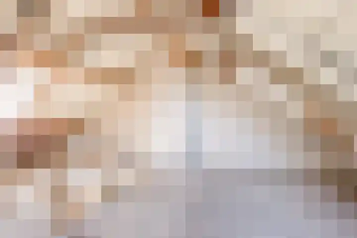 Willem Arntszkade 48 Utrecht thumbnail 35