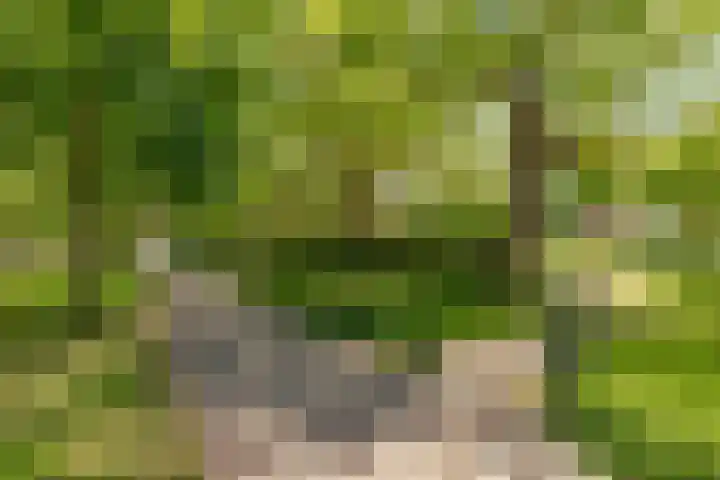 Willem Arntszkade 48 Utrecht thumbnail 36