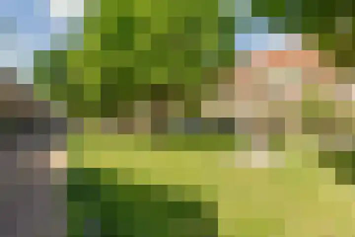 Willem Arntszkade 48 Utrecht thumbnail 37