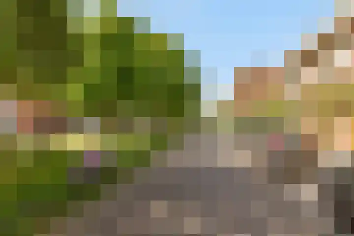 Willem Arntszkade 48 Utrecht thumbnail 39