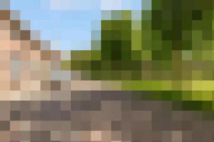Willem Arntszkade 48 Utrecht thumbnail 40