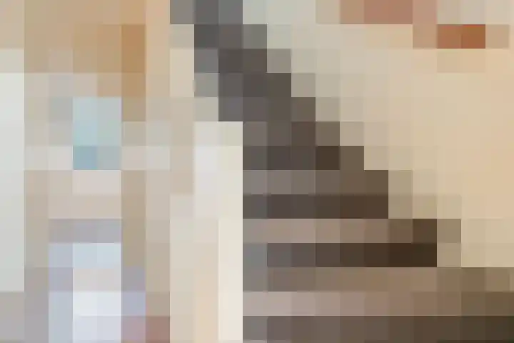 Willem Arntszkade 48 Utrecht thumbnail 8