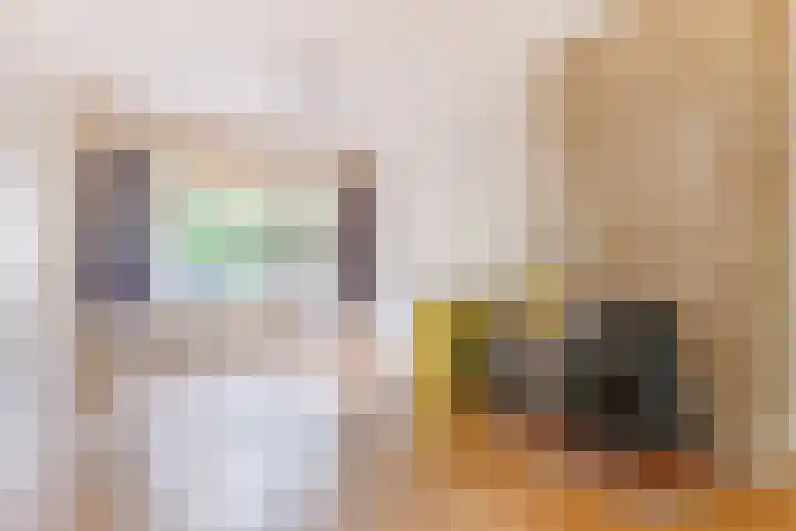 Willem Arntszkade 48 Utrecht thumbnail 9
