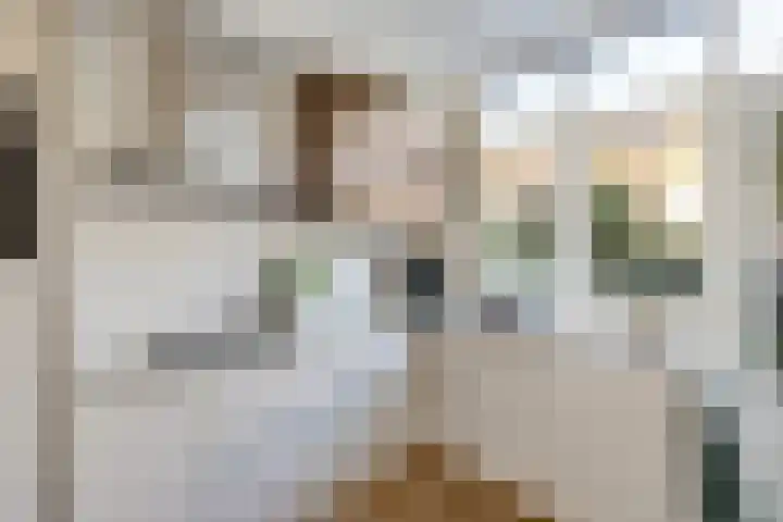 Willem Arntszkade 61 Utrecht thumbnail 14