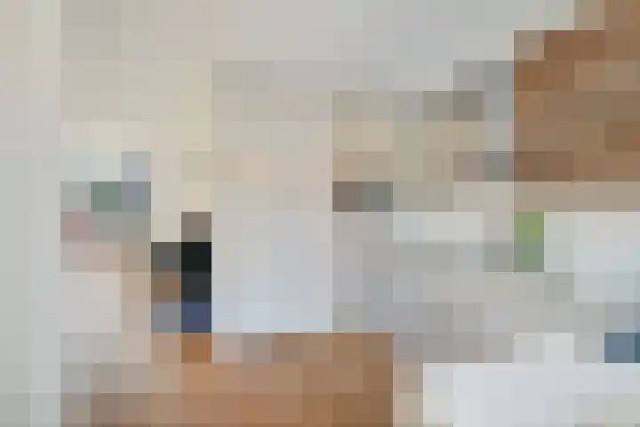 Willem Arntszkade 61 Utrecht thumbnail 15