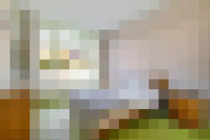 Willem Arntszkade 61 Utrecht thumbnail 26