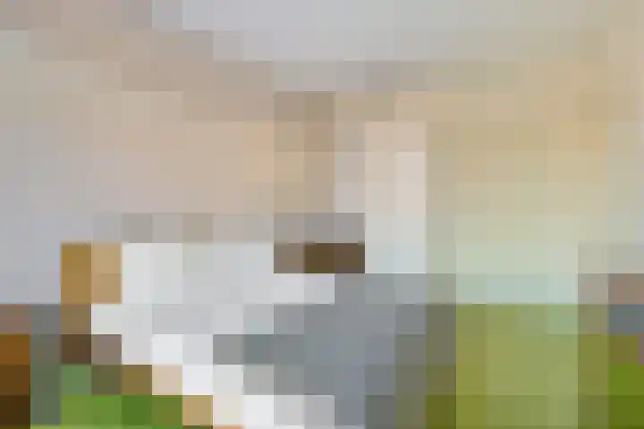 Willem Arntszkade 61 Utrecht thumbnail 27