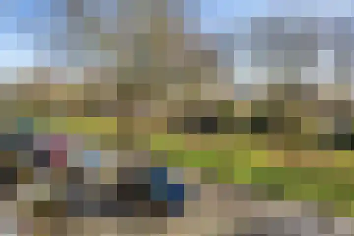 Willem Arntszkade 61 Utrecht thumbnail 33