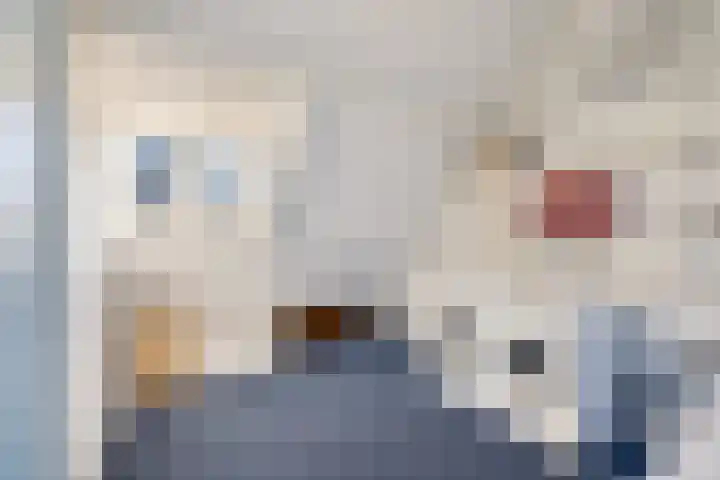 Willem Arntszkade 61 Utrecht thumbnail 36
