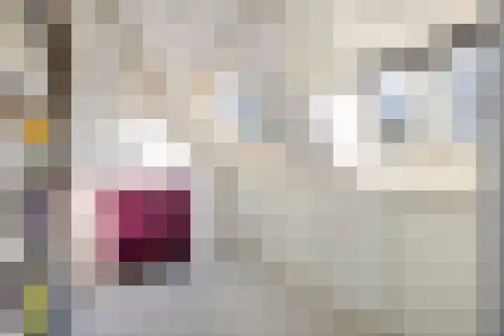 Willem Arntszkade 61 Utrecht thumbnail 39