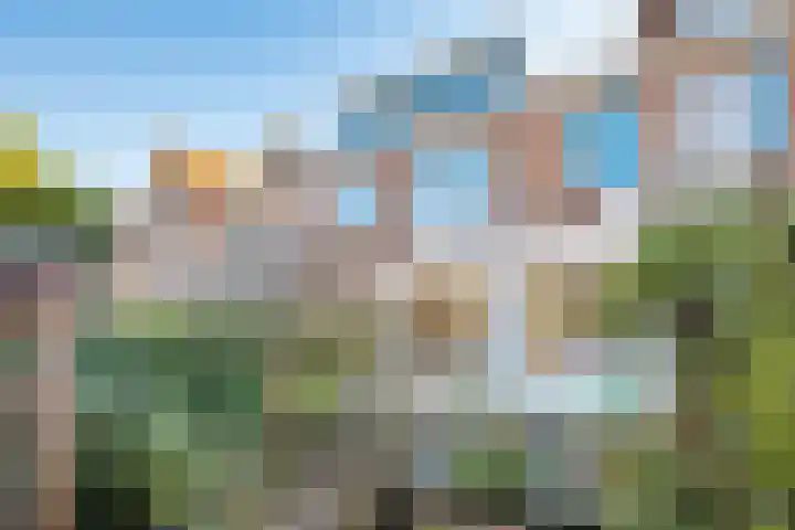 Willem Arntszkade 61 Utrecht thumbnail 4