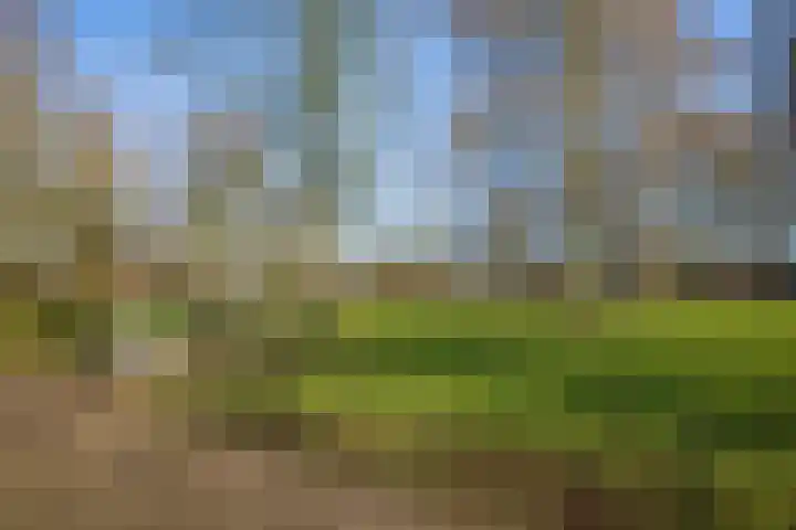 Willem Arntszkade 61 Utrecht thumbnail 46