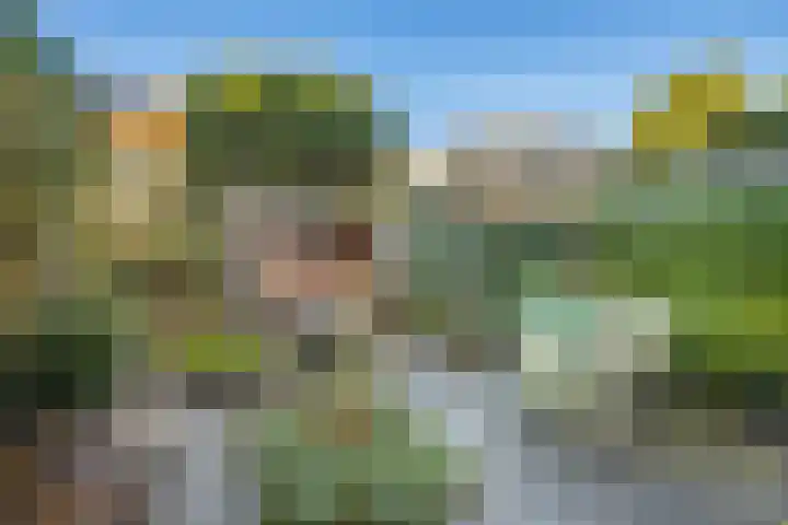 Willem Arntszkade 61 Utrecht thumbnail 5