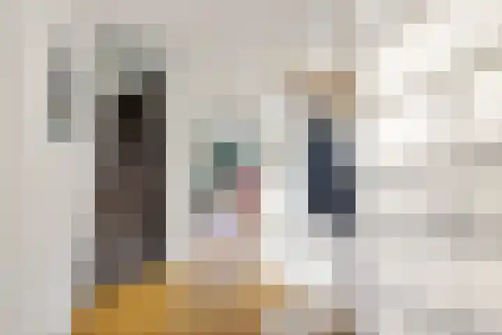Willem Arntszkade 61 Utrecht thumbnail 9