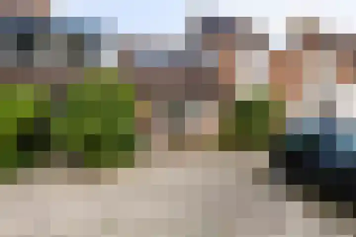 Willem Arondeusstraat 23 Middelburg thumbnail 33