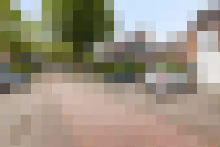 Willem Arondeusstraat 23 Middelburg thumbnail 35