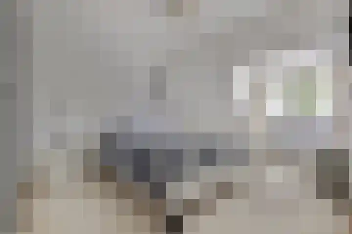 Willem Arondeusstraat 41 Middelburg thumbnail 20