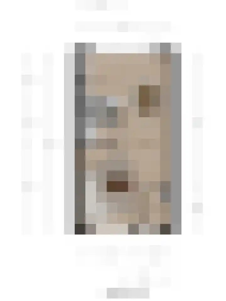 Willem Arondeusstraat 41 Middelburg thumbnail 39