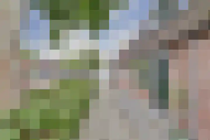 Willem Arondeusstraat 41 Middelburg thumbnail 7