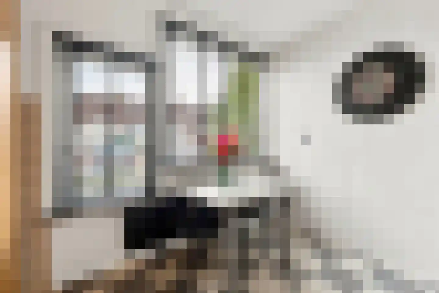 Willem Arondeusstraat 54 Middelburg thumbnail 9