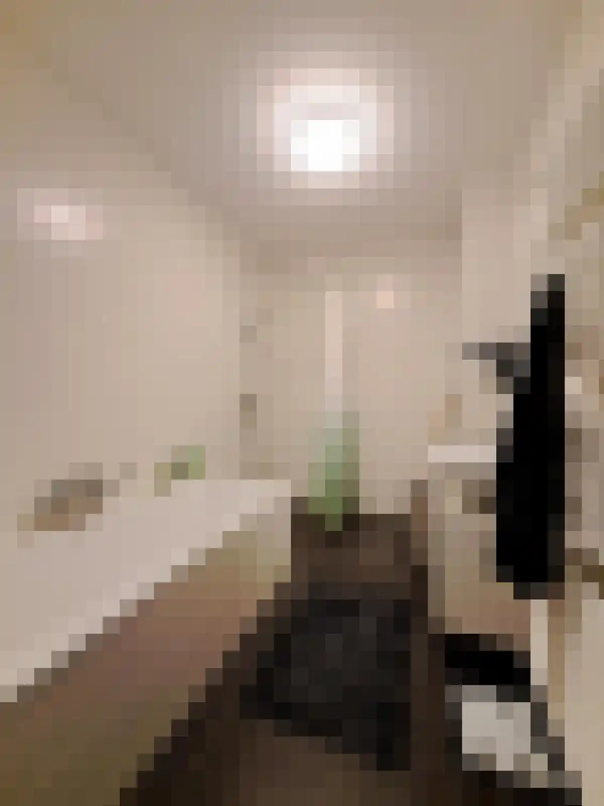 Willem Augustinstraat 112 Amsterdam thumbnail 6