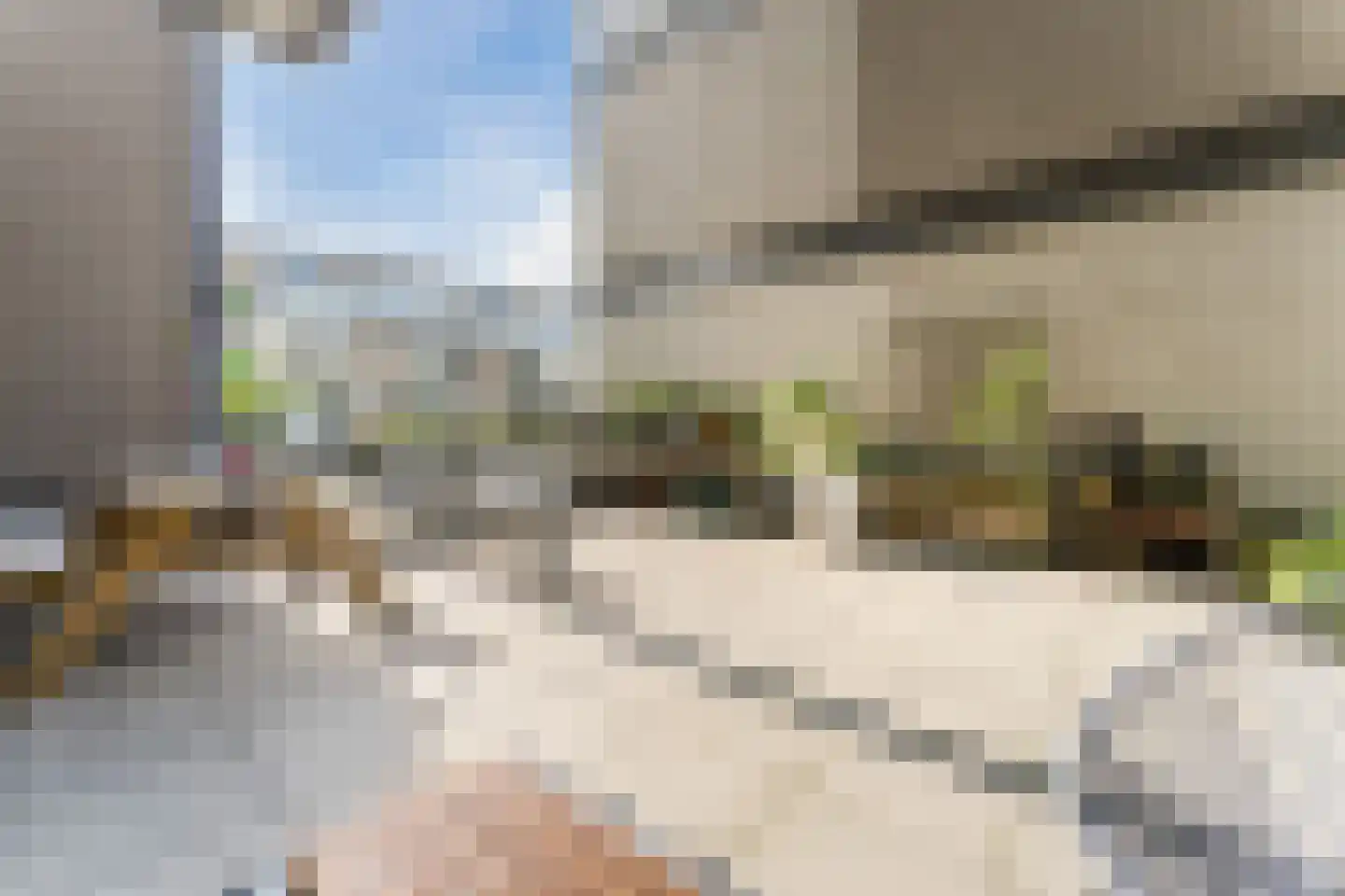 Willem Augustinstraat 126 Amsterdam thumbnail 16