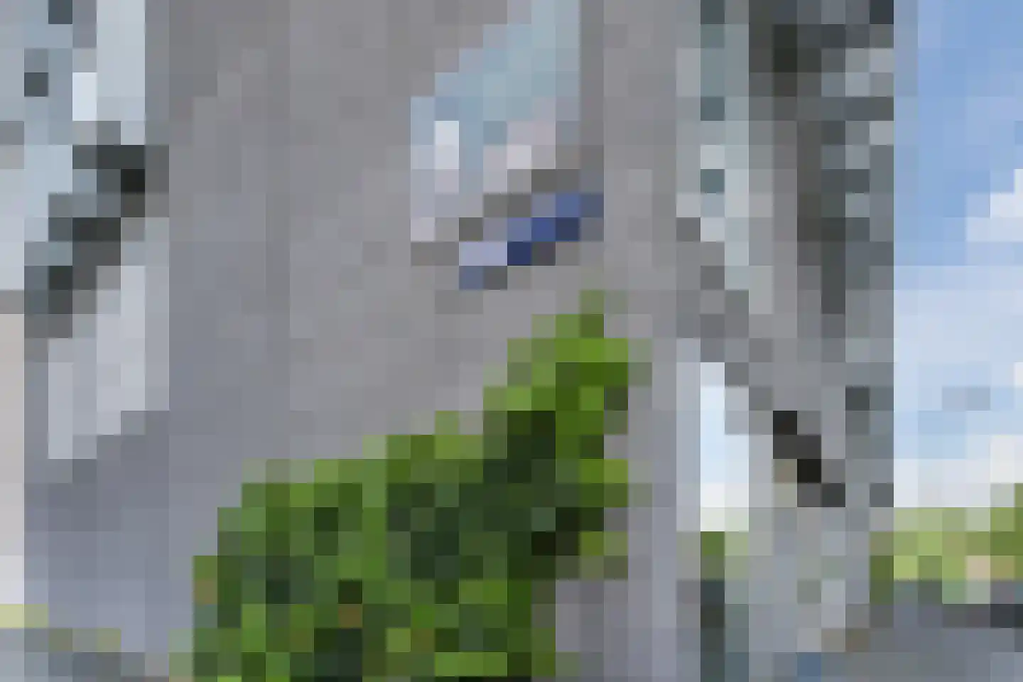 Willem Augustinstraat 126 Amsterdam thumbnail 26