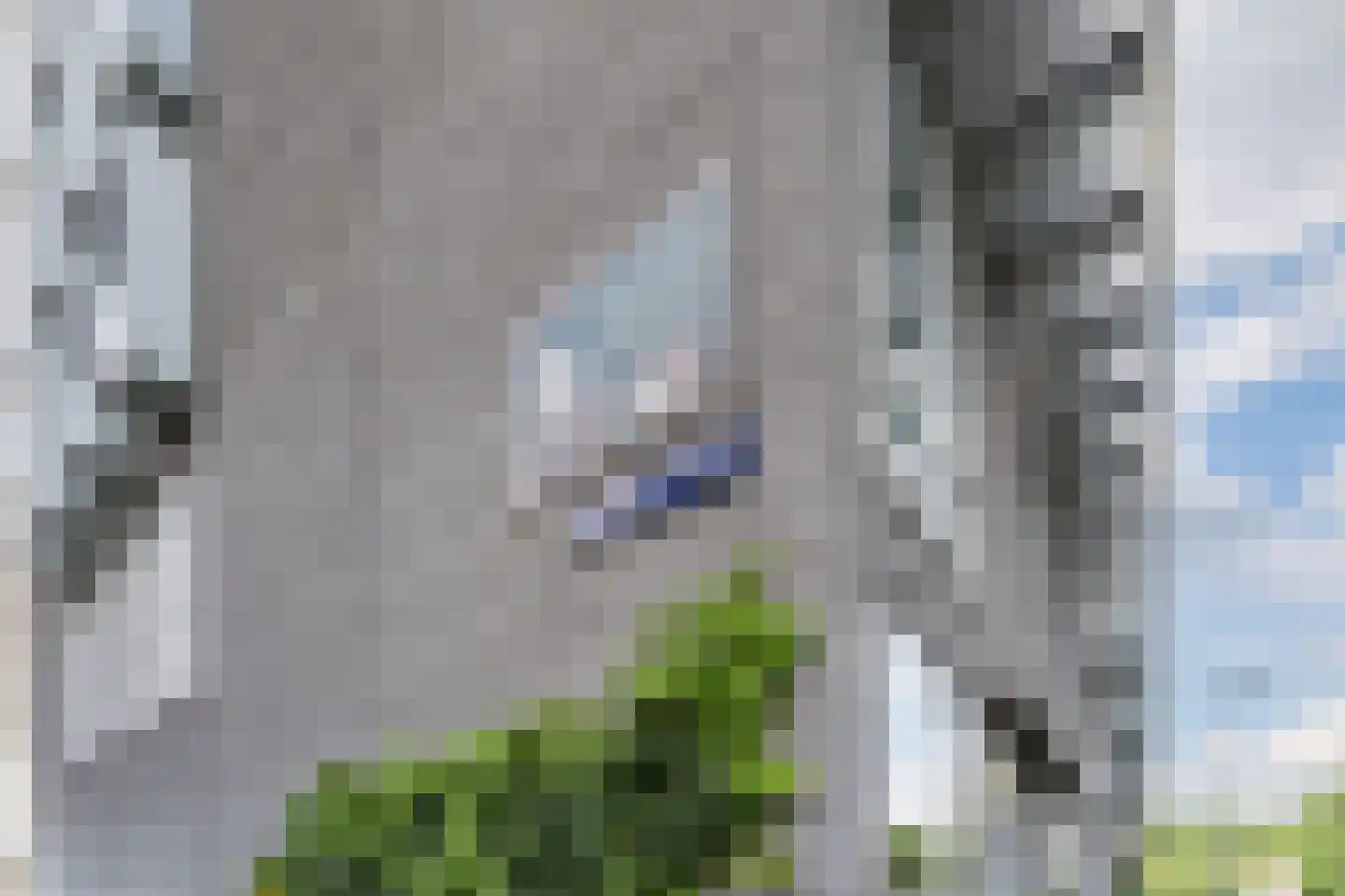 Willem Augustinstraat 126 Amsterdam thumbnail 39