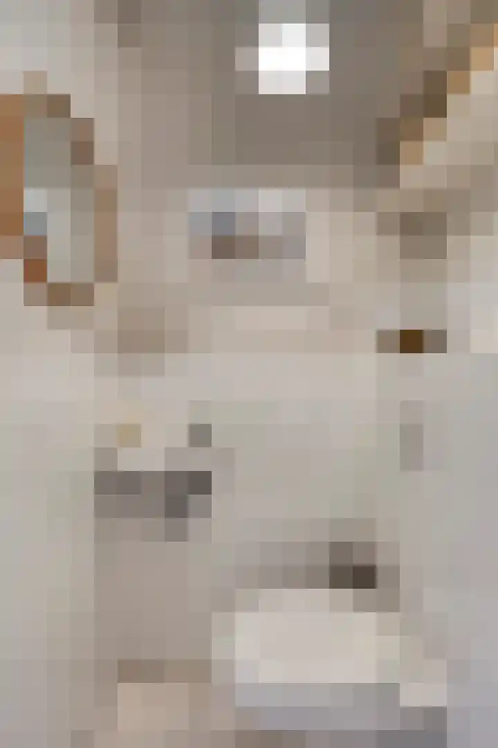 Willem Augustinstraat 130 Amsterdam thumbnail 12