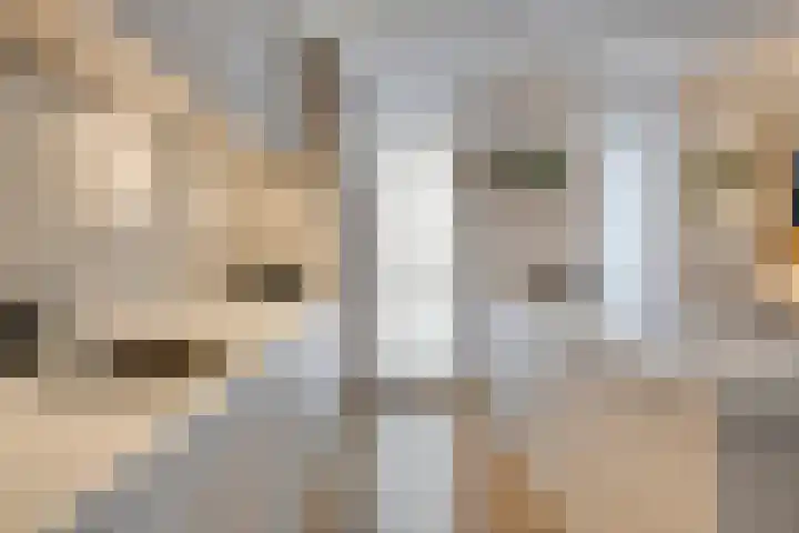 Willem Augustinstraat 130 Amsterdam thumbnail 23