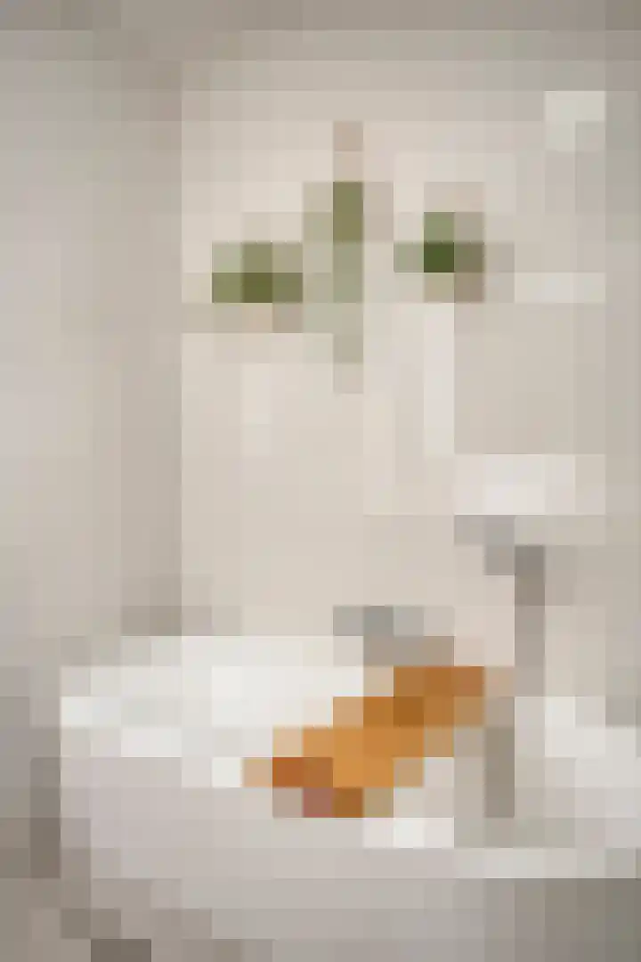 Willem Augustinstraat 130 Amsterdam thumbnail 34