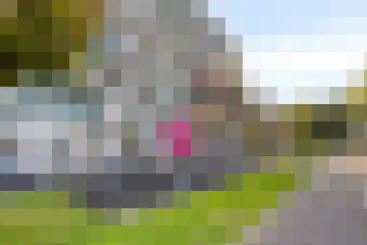 Willem Augustinstraat 130 Amsterdam thumbnail 46