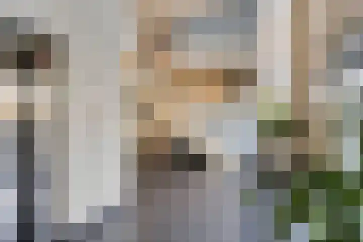 Willem Augustinstraat 130 Amsterdam thumbnail 9