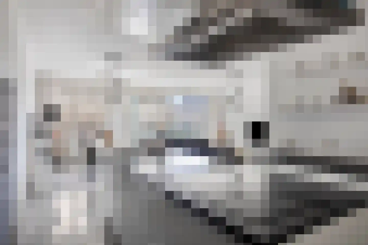 Willem Augustinstraat 131 Amsterdam thumbnail 13