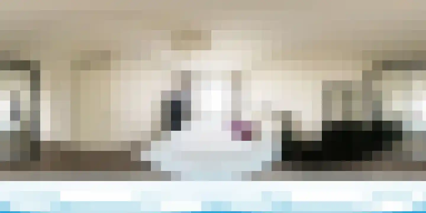 Willem Augustinstraat 131 Amsterdam thumbnail 20