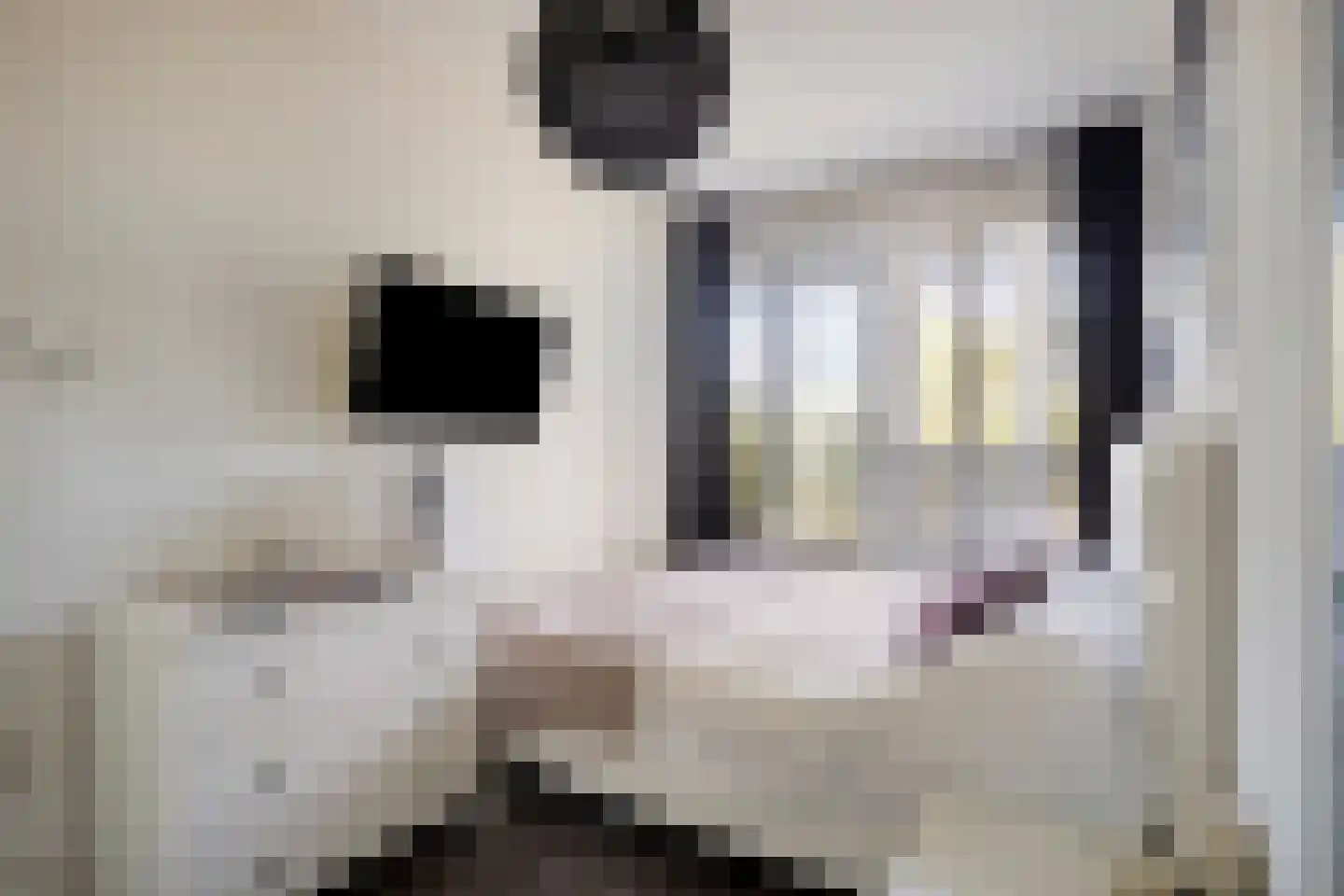 Willem Augustinstraat 131 Amsterdam thumbnail 22