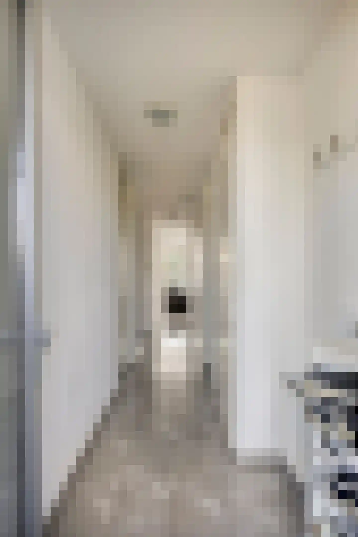 Willem Augustinstraat 131 Amsterdam thumbnail 25