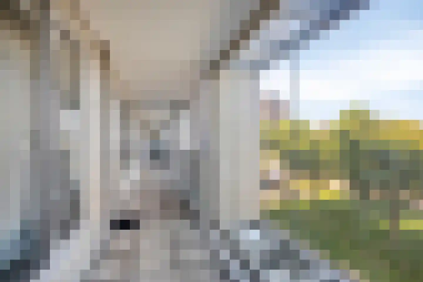 Willem Augustinstraat 131 Amsterdam thumbnail 27