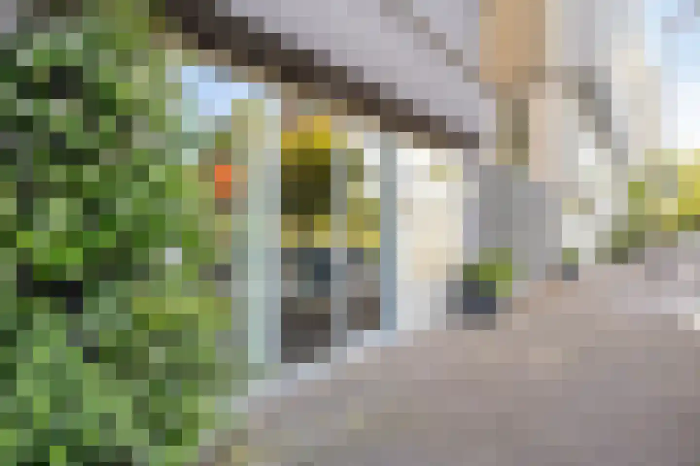 Willem Augustinstraat 131 Amsterdam thumbnail 34