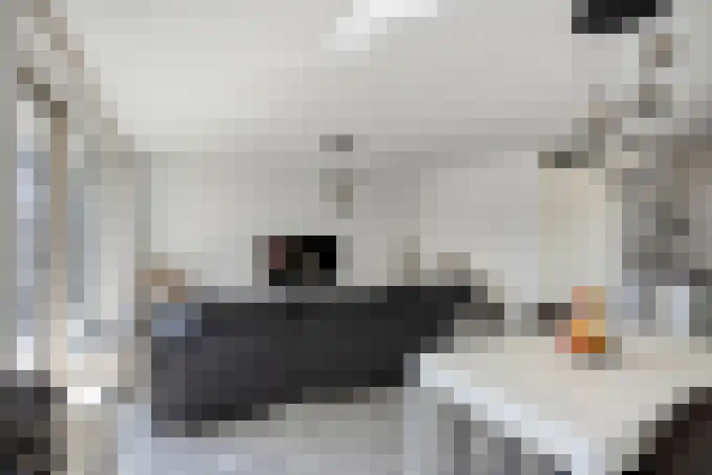 Willem Augustinstraat 131 Amsterdam thumbnail 5