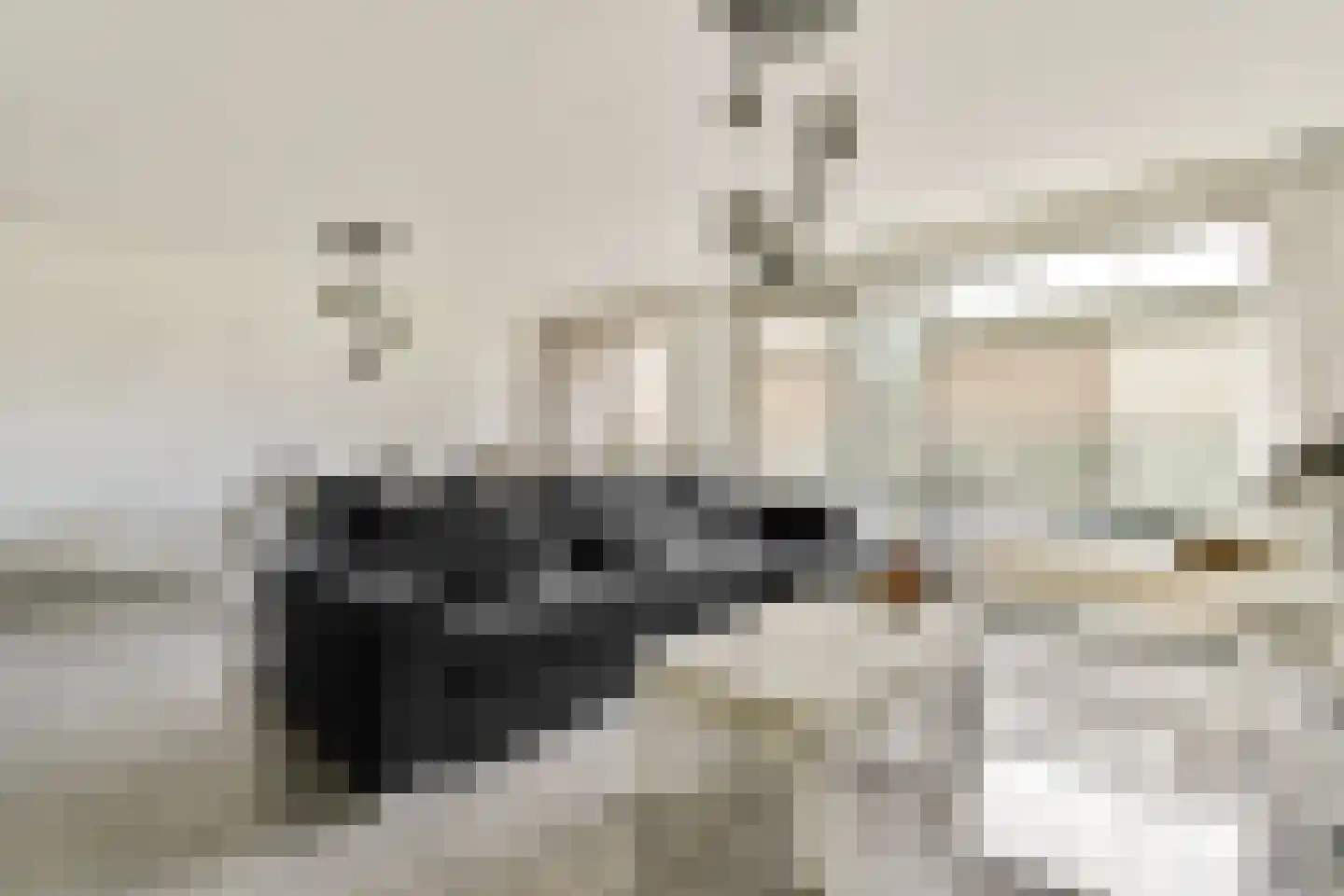 Willem Augustinstraat 131 Amsterdam thumbnail 5