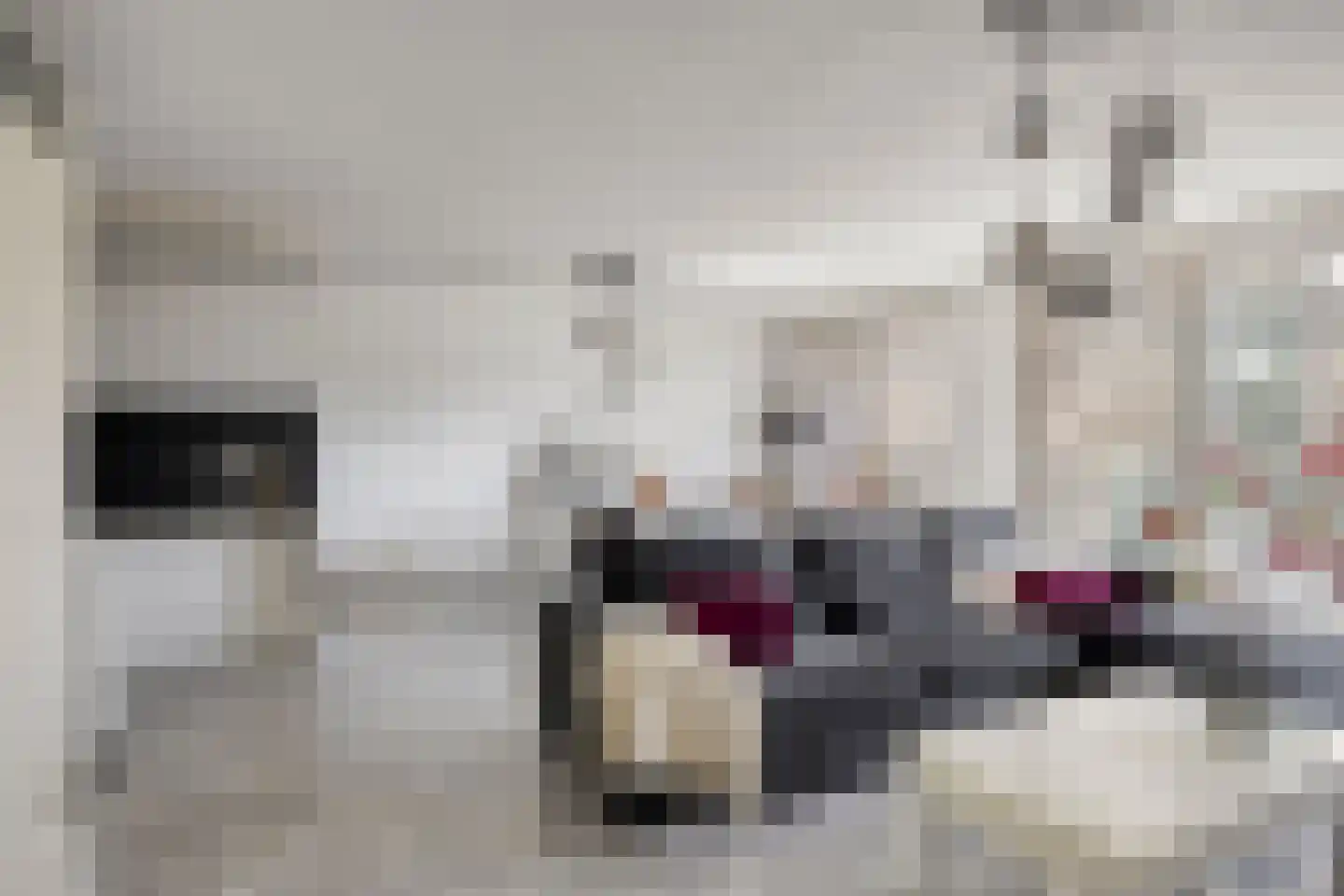 Willem Augustinstraat 131 Amsterdam thumbnail 6