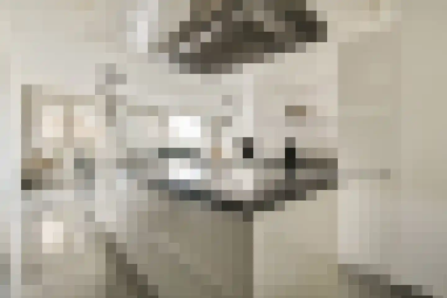 Willem Augustinstraat 131 Amsterdam thumbnail 8
