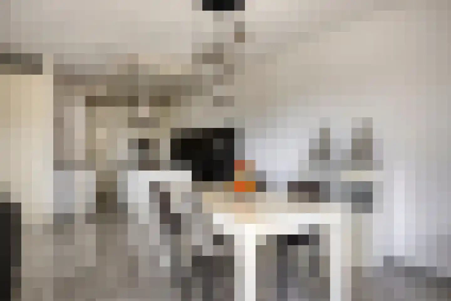 Willem Augustinstraat 131 Amsterdam thumbnail 9